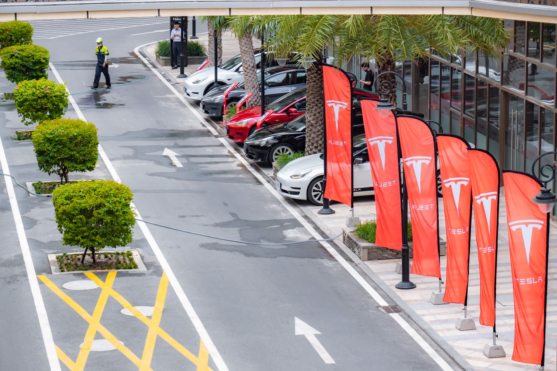 Verschillende Tesla-modellen opgesteld bij een Tesla-evenement